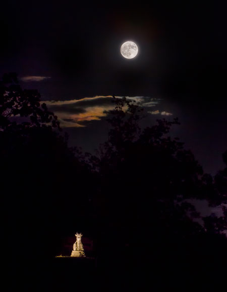 Moon and Mahanandi at Mount Soma