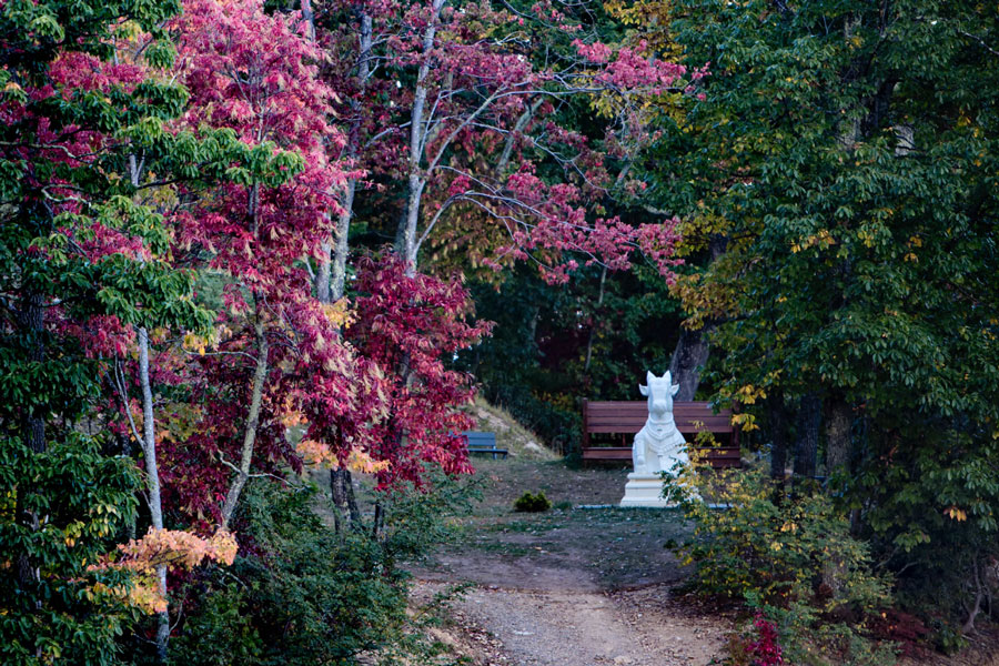 Mahanandi Park, Mount Soma